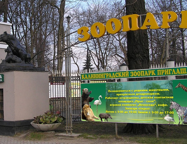 Калининградский Зоопарк