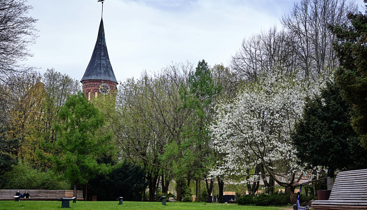 Чем заняться в Калининграде Чем заняться в Калининграде