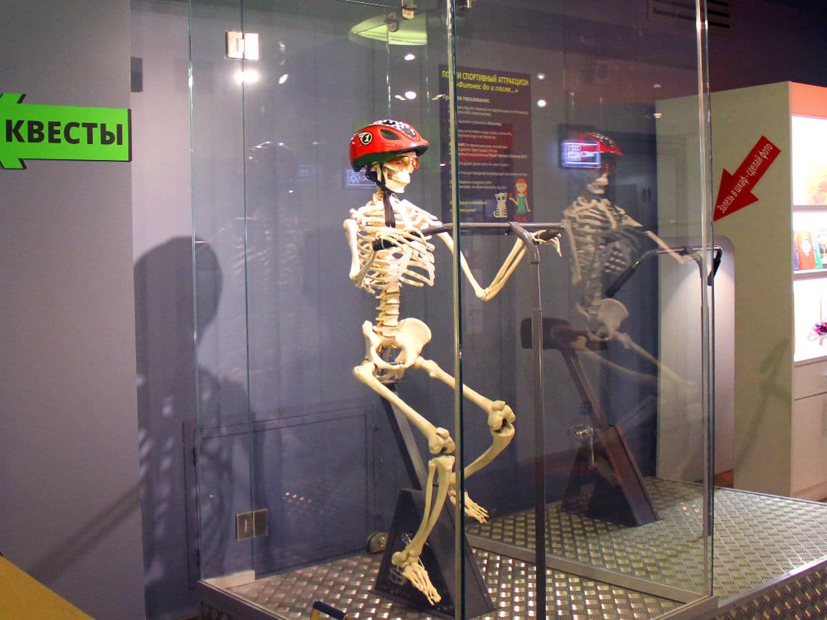 Музей черепов и скелетов (фото 4)