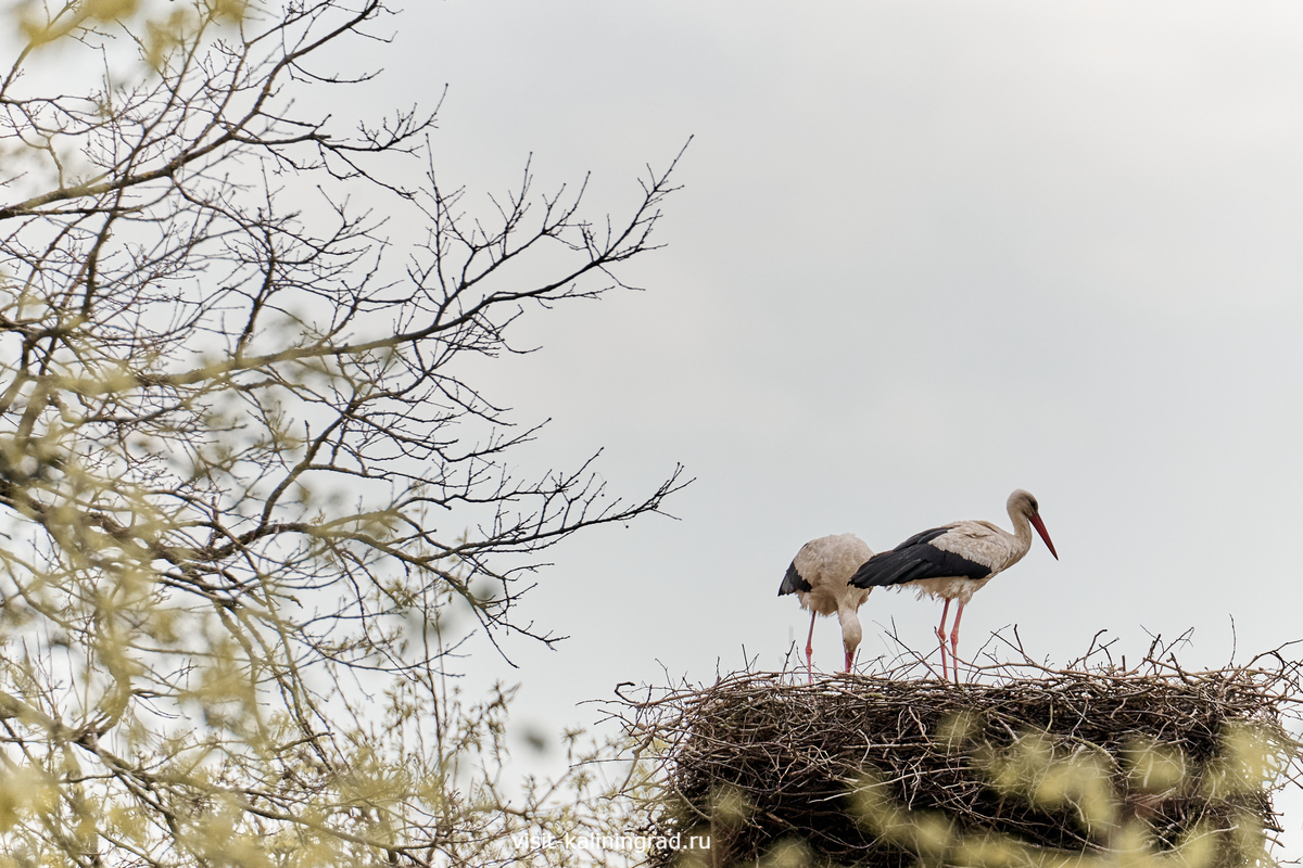 Самые интересные события марта