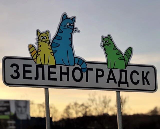 Программа праздника "День рождения зеленоградского кота" 2 марта 2019