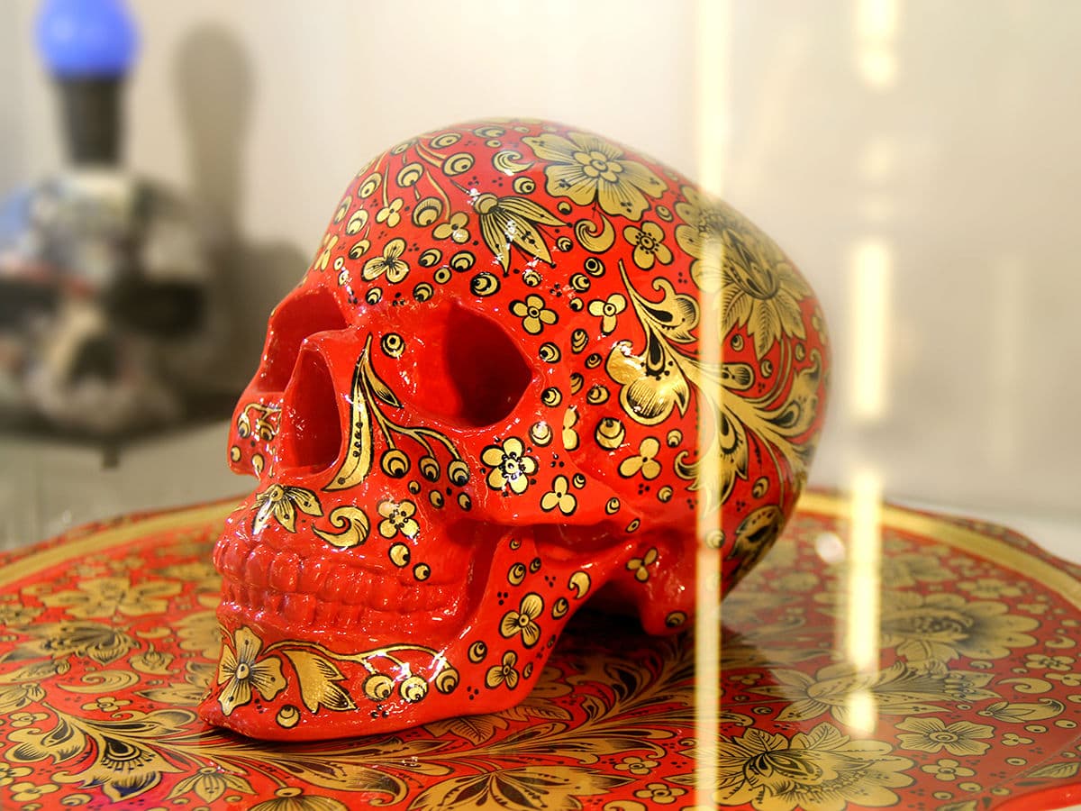 Museum of skulls and skeletons (photo 3)