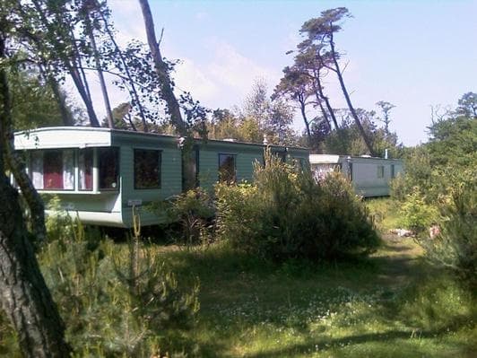 Campingplätze auf die "Kurshskaya Kosa"