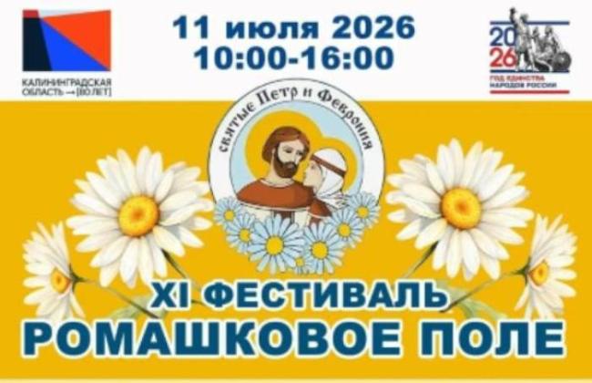 Фестиваль «Ромашковое поле»