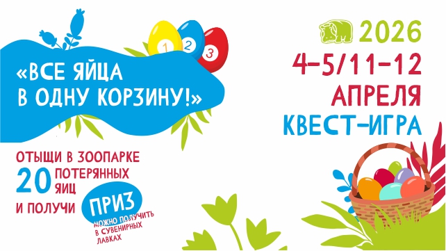 Все яйца в одну корзину