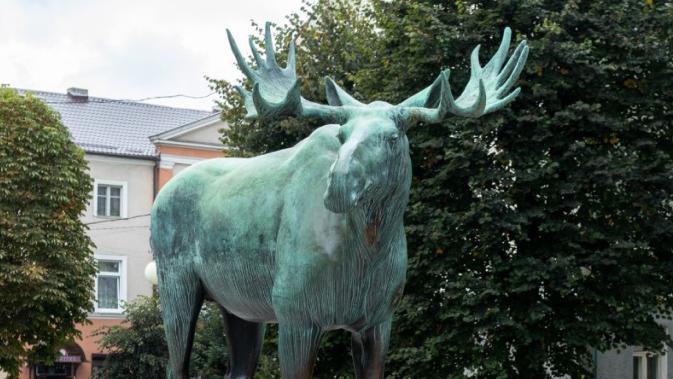 Гуляем по городу Гу. Путеводитель по Гусеву