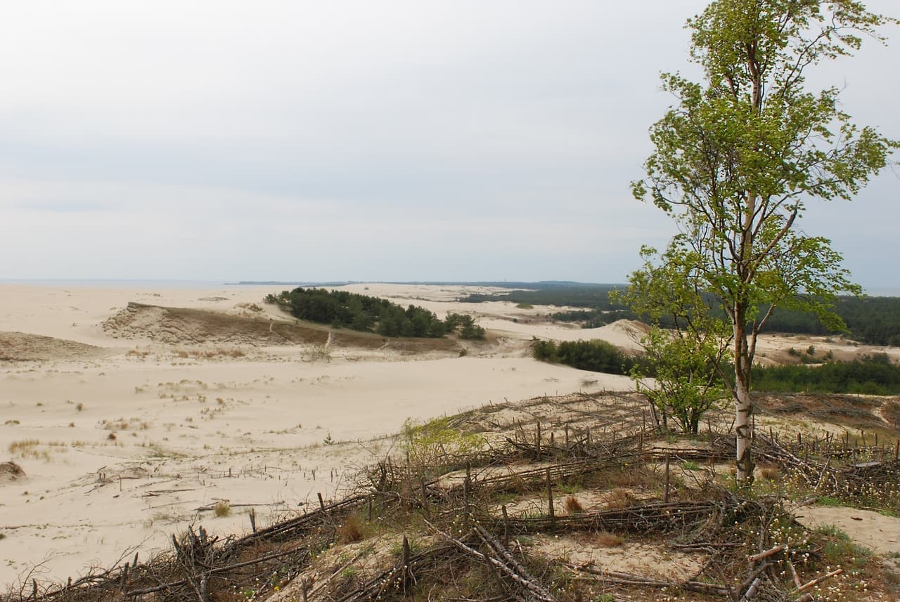 The Curonian Spit (photo 3)