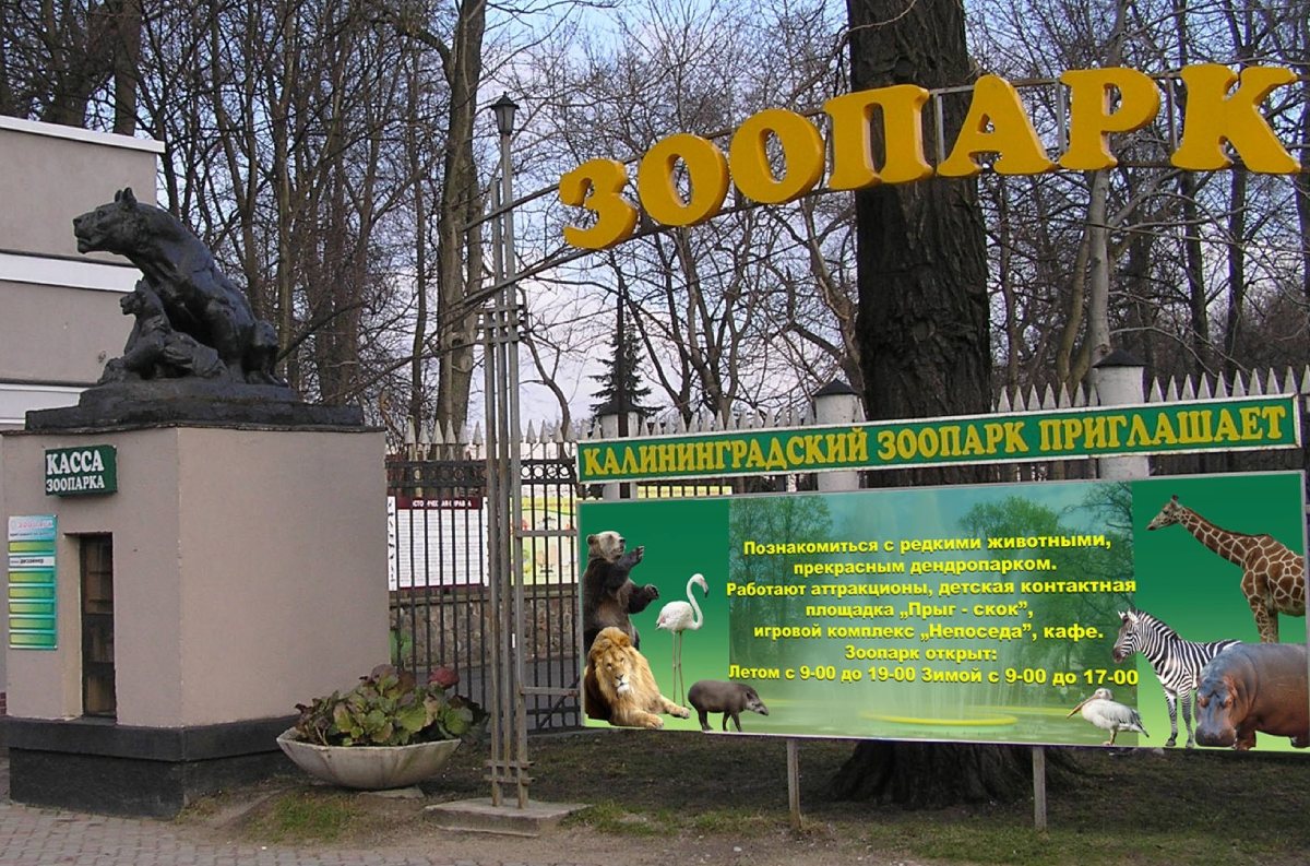 Символ калининградского зоопарка 1 из 4