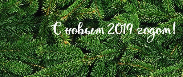 Поздравление от Регионального Информационного Центра Туризма