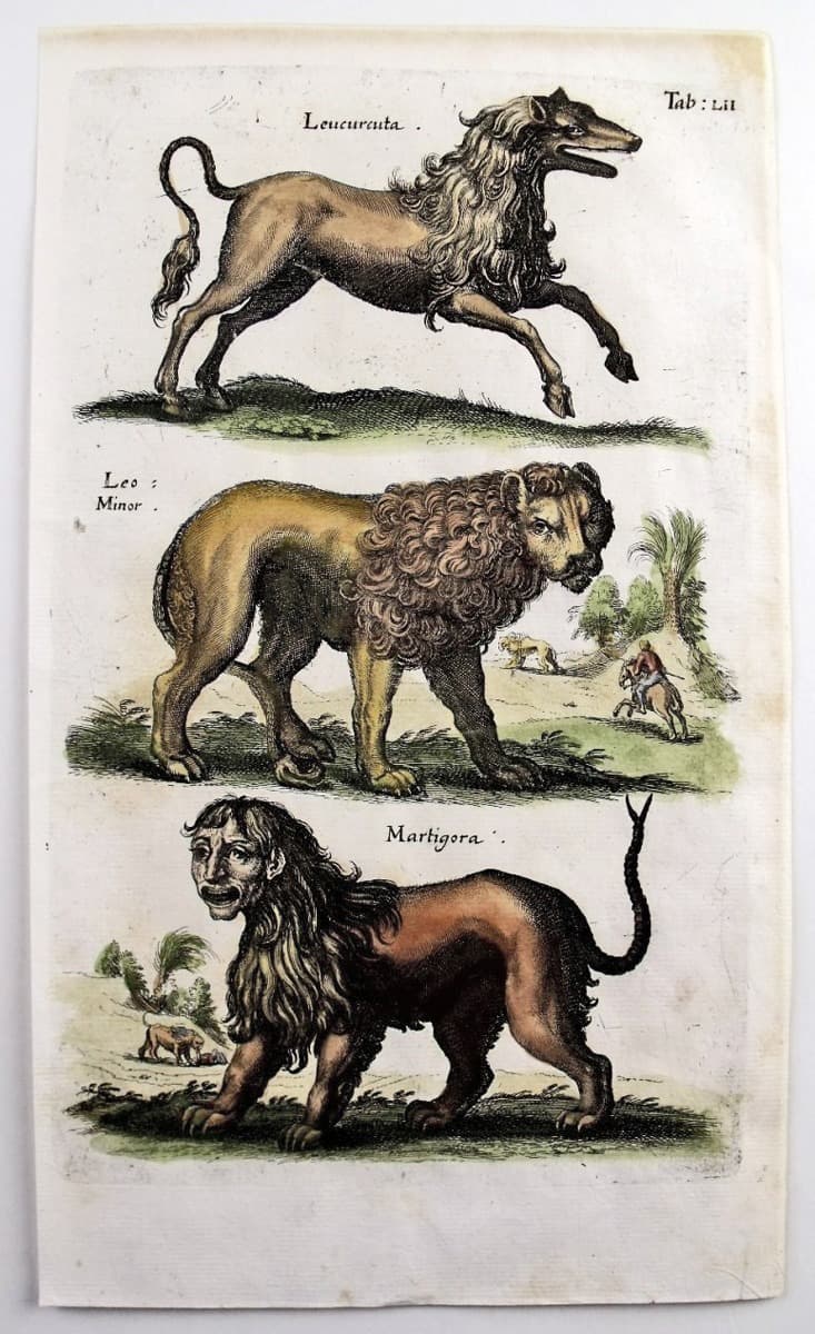 Пополнение «львиной» коллекции музея