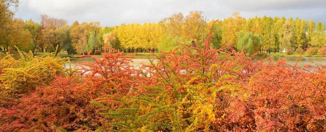 Золотая осень в регионах Серебряного ожерелья: лучшие локации для атмосферных фотосессий