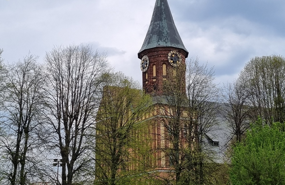 Режим работы музеев, парков и туристских информационных центров Калининградской области в Международный женский день 2026