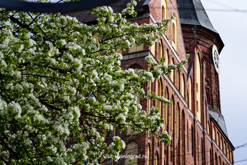 Самые интересные события апреля