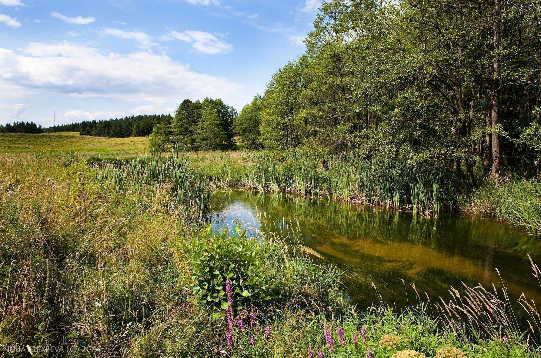 Staatliche haushaltsplangebundene Einrichtung des Kaliningrad Gebiets "Naturpark" Vischtynezkij"