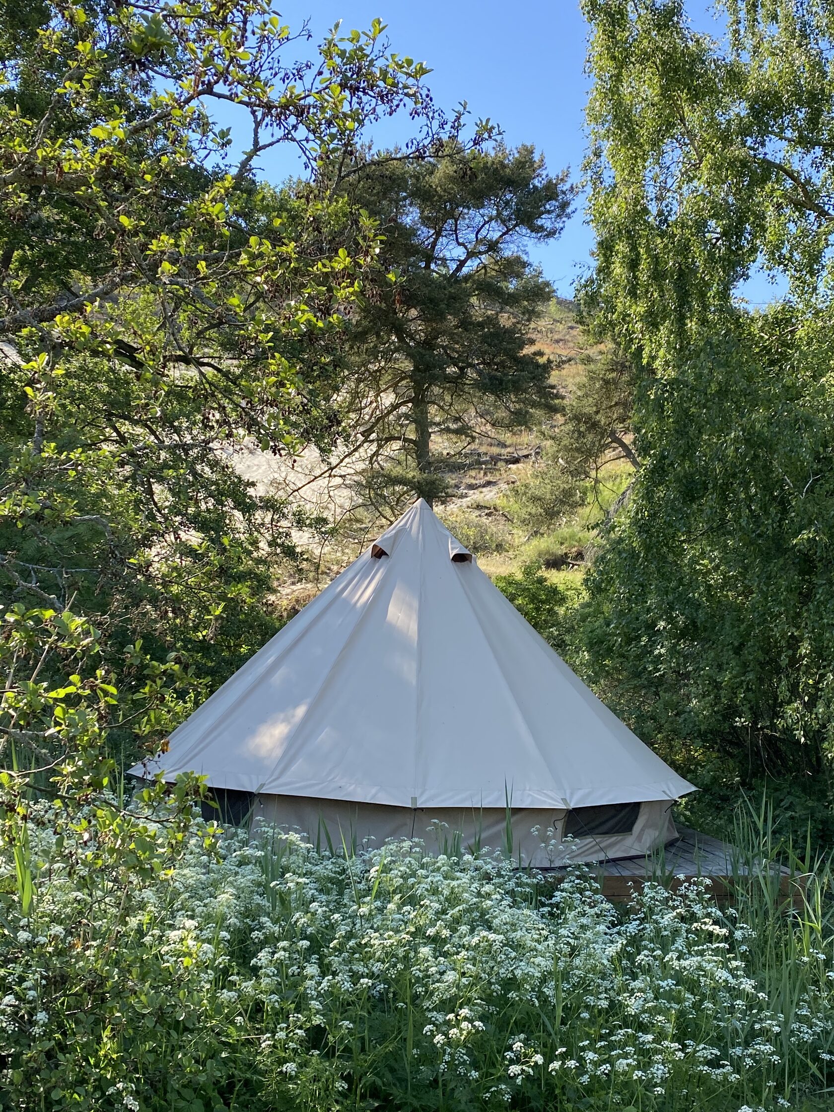 Эко-глэмпинг "Эколодж Дзен" / "Ecolodge Zen" (фото 1)