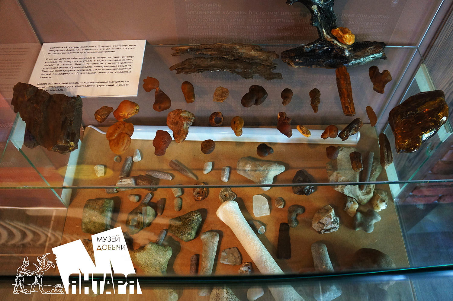 Музей добычи янтаря (фото 3)