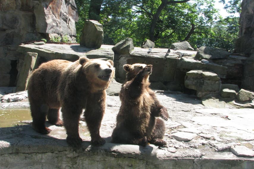 Калининградский зоопарк (фото 5)