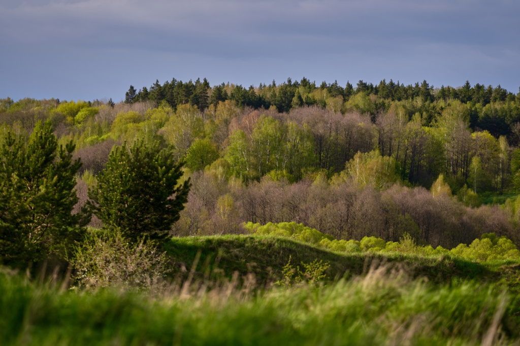 С 1 апреля 2026 года посещение нацпарка «Виштынецкий» становится платным