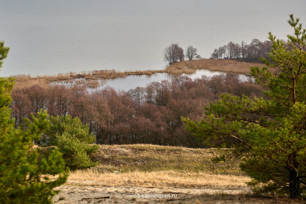 Маршрут озеро Лебедь на Куршской косе.visit-kaliningrad.ru