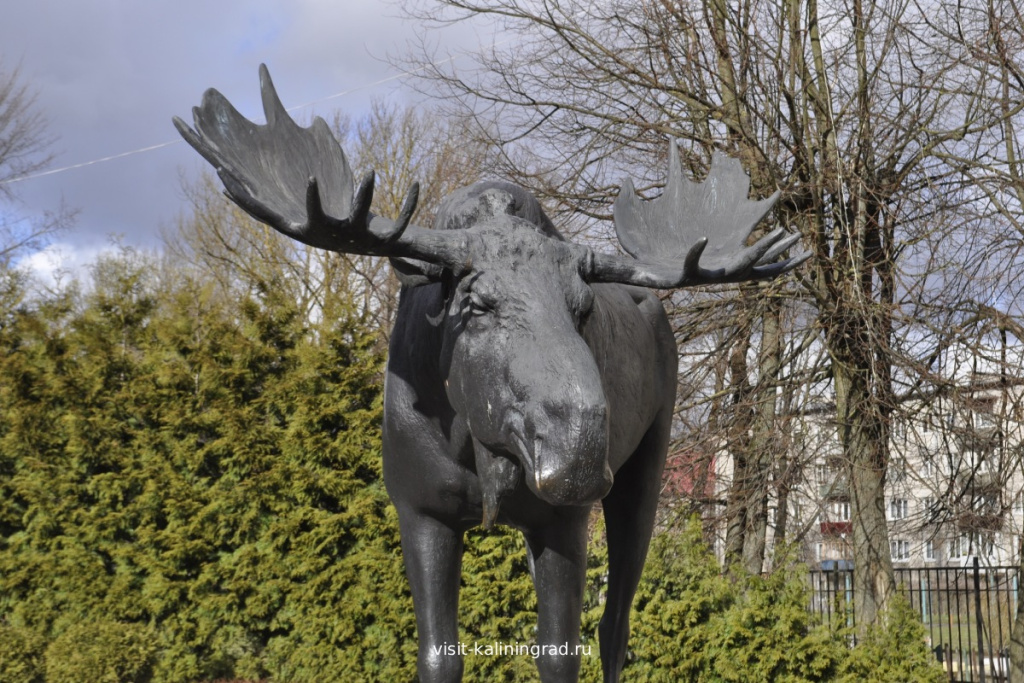 Скульптура лося в Советске.visit-kaliningrad.ru