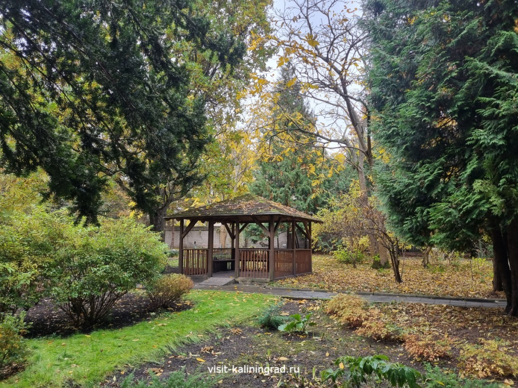 Ландшафтный парк в Калининграде.visit-kaliningrad.ru Ландшафтный парк в Калининграде.visit-kaliningrad.ru