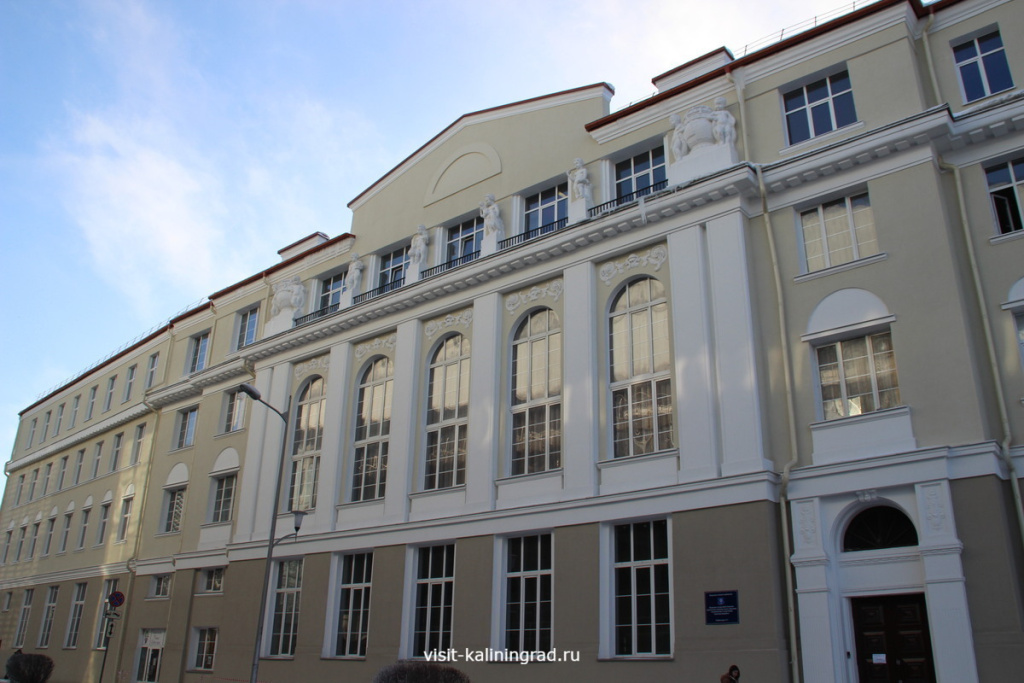 Корпус КГТУ в Калининграде.visit-kaliningrad.ru Корпус КГТУ в Калининграде.visit-kaliningrad.ru