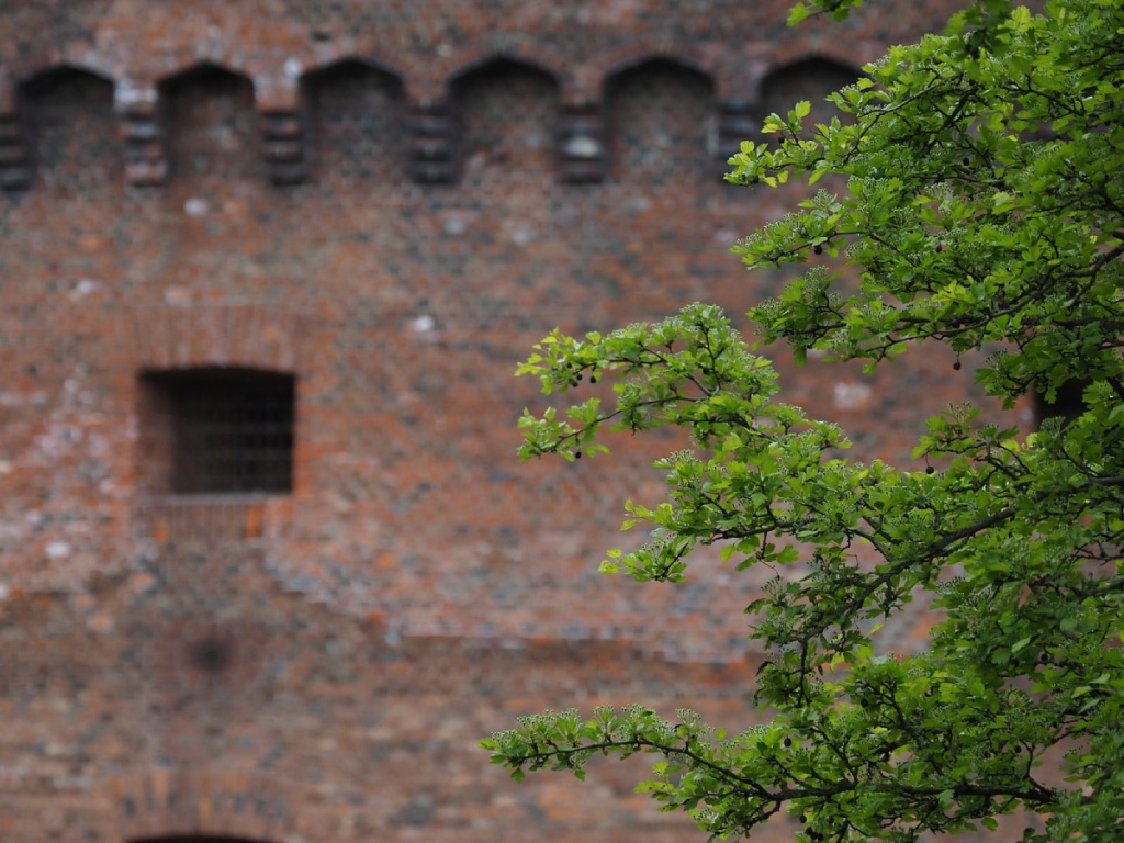 Афиша на май в Калининграде.visit-kaliningrad.ru