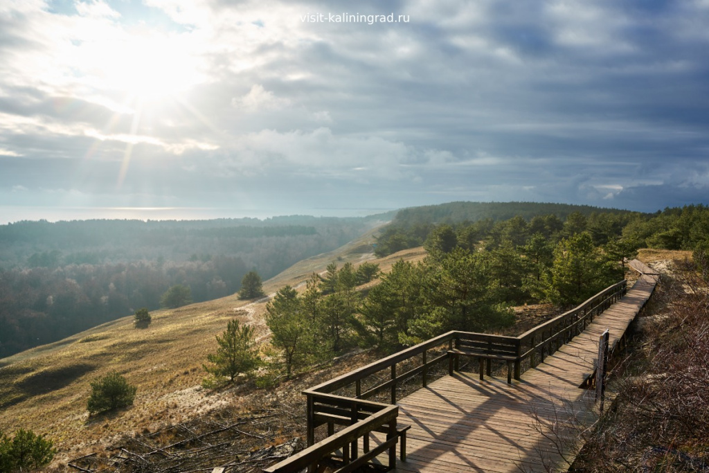 Куршская Коса в лучах солнца.visit-kaliningrad.ru