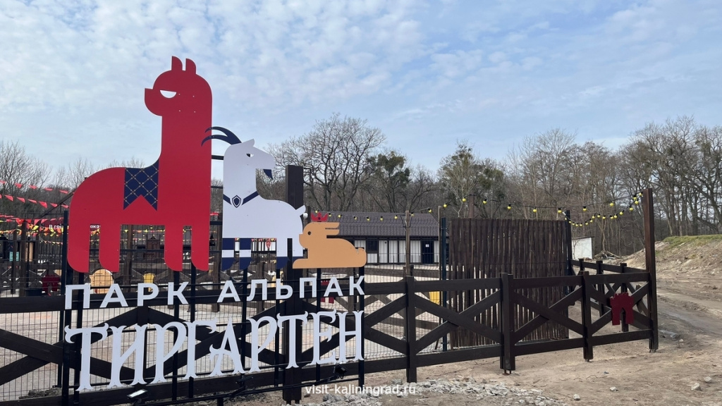 Парк альпак Тиргартен в Калининграде.visit-kaliningrad.ru Парк альпак Тиргартен в Калининграде.visit-kaliningrad.ru