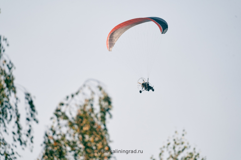 Полёты на параплане в Калининградской области.visit-kaliningrad.ru