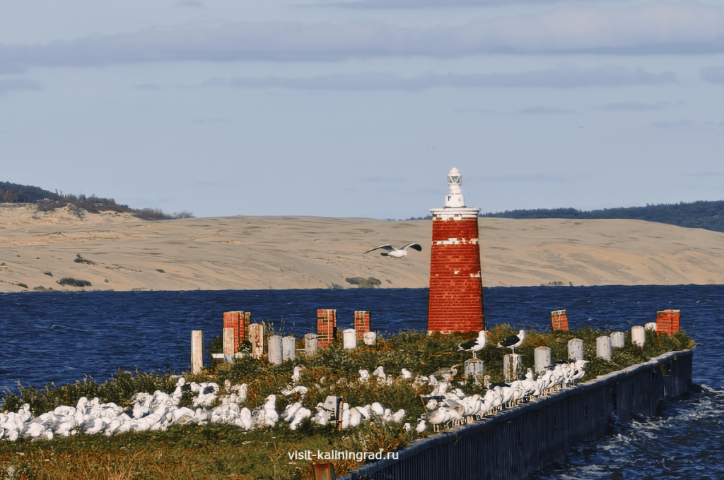 Маяк в Рыбачьем на Куршской косе.visit-kaliningrad.ru