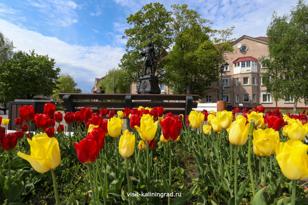 Памятник Петру 1 в Балтийске.visit-kaliningrad.ru