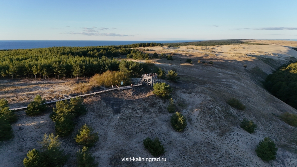 Куршская коса маршрут Озеро Лебедь.visit-kaliningrad.ru