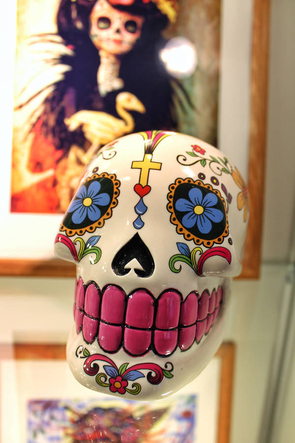 image3-2-600x900-q70.jpg image3-2-600x900-q70.jpg