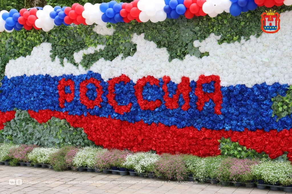 Цветы России.jpg