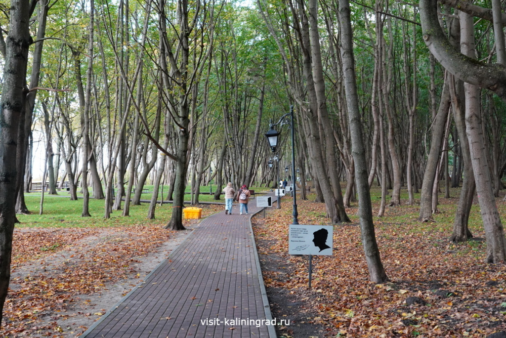 Парк в Янтарном.visit-kaliningrad.ru