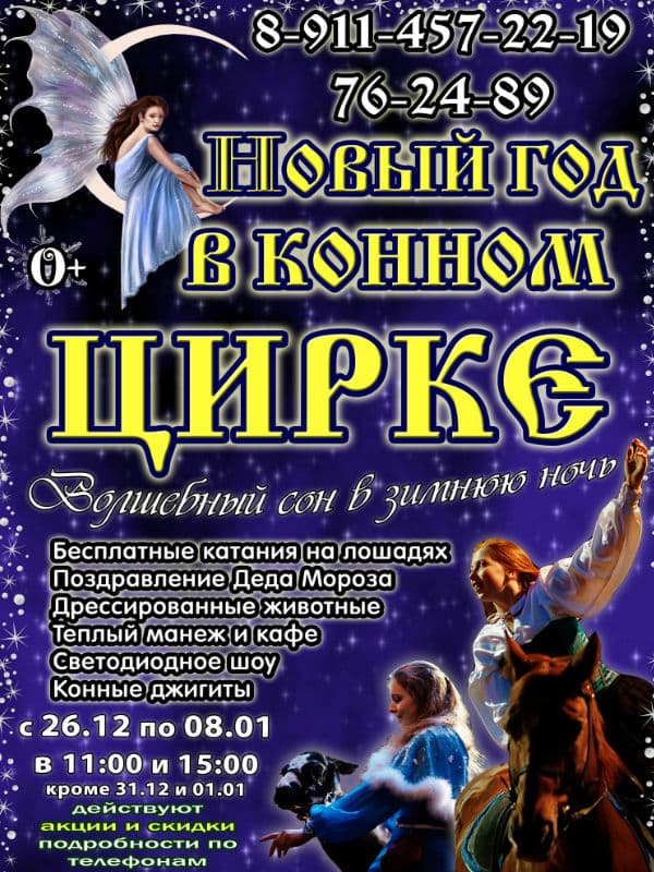 Новый год в конном цирке Новый год в конном цирке