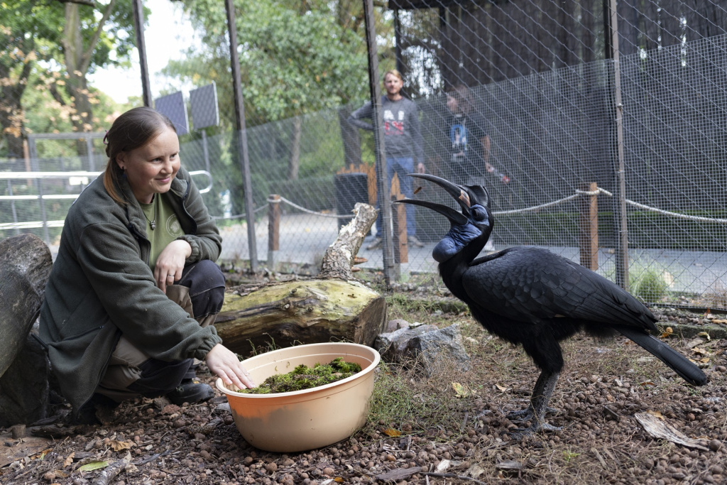 Я работаю в зоопарке_.jpg