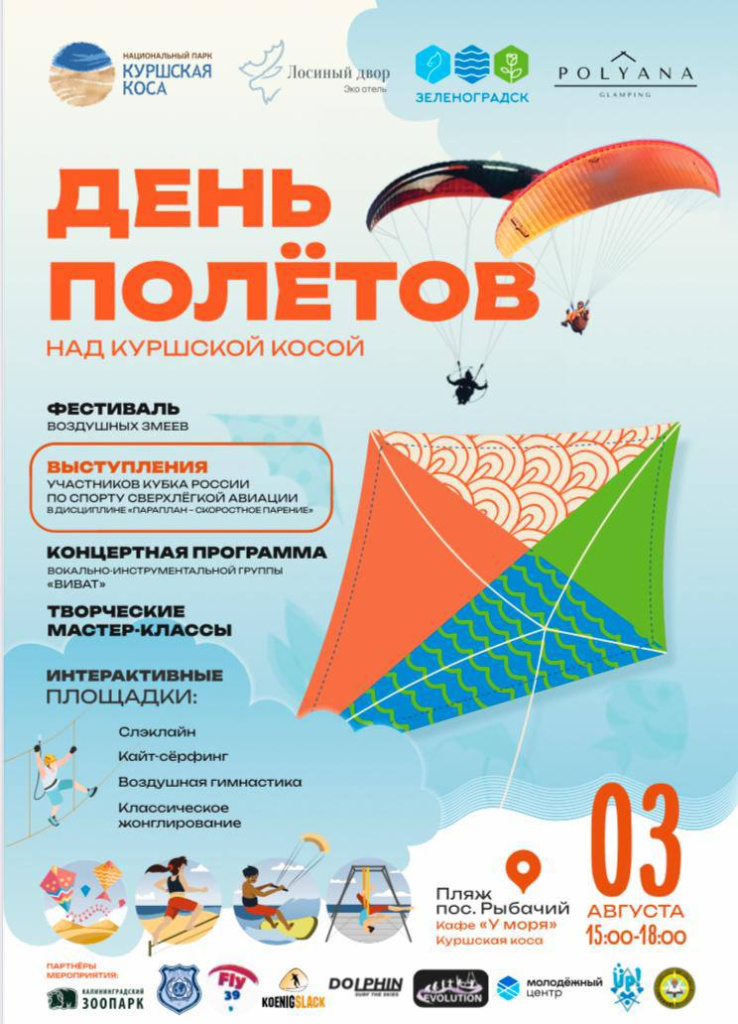 День полетов афиша.jpg