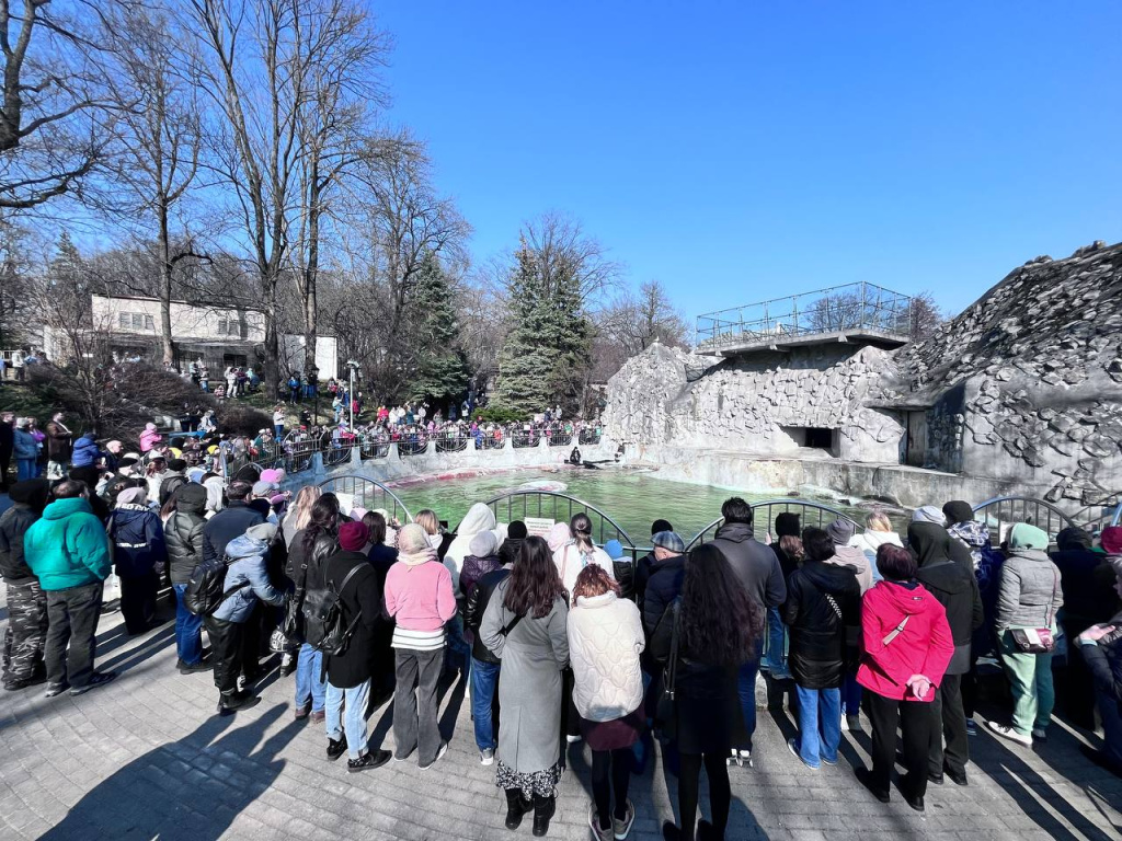 День тюленя_ тренинг бассейн ластоногих.jpg