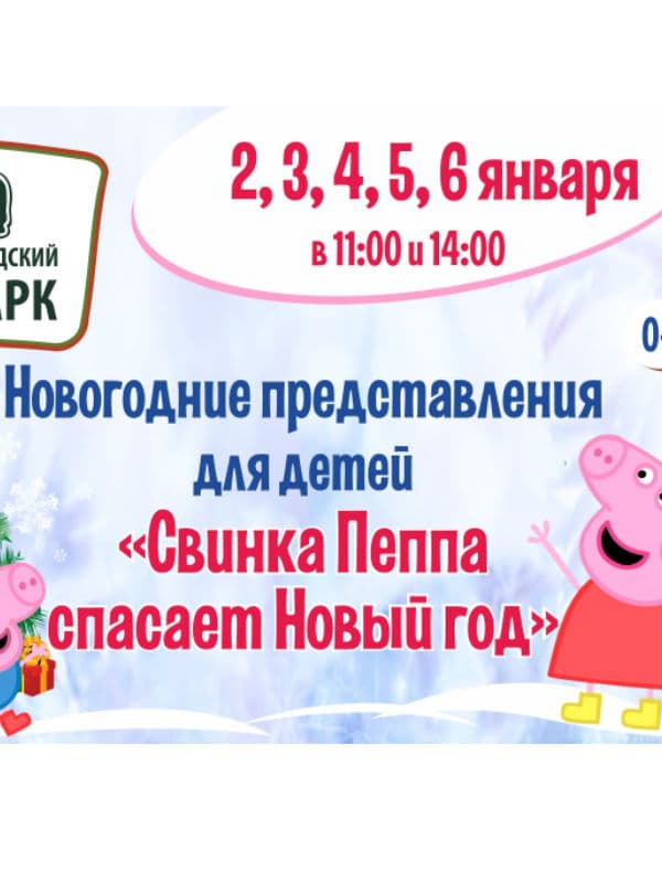 Новогоднее представление Новогоднее представление