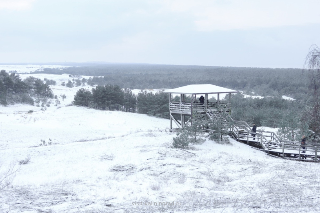 Смотровая площадка на Куршской косе зимой.visit-kaliningrad.ru Смотровая площадка на Куршской косе зимой.jpg