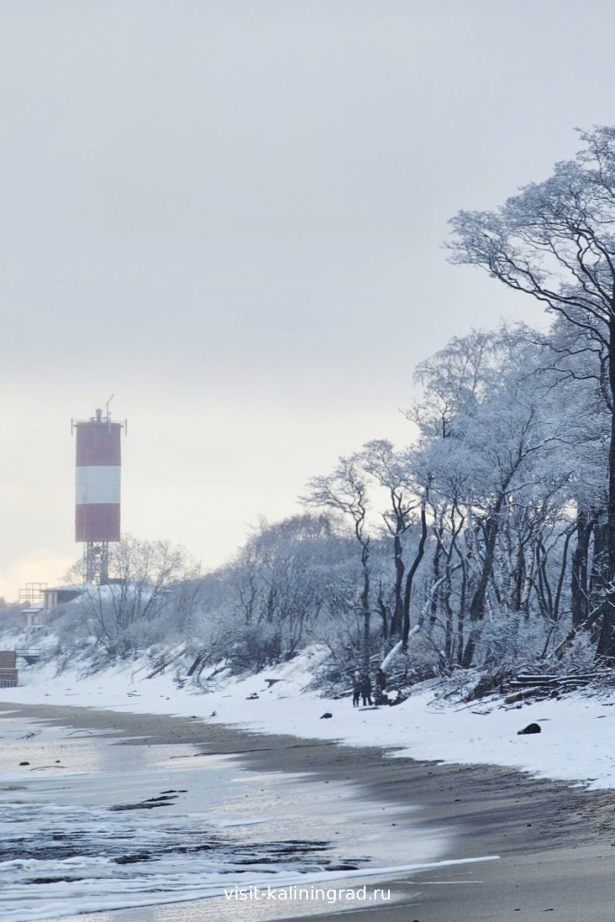 Куршская коса зимой.visit-kaliningrad.ru Куршская коса зимой