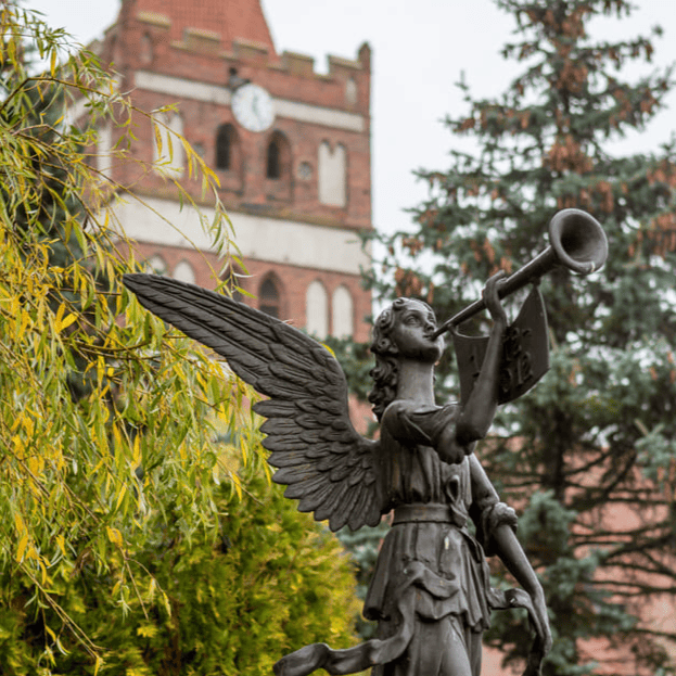 Экскурсии для местных