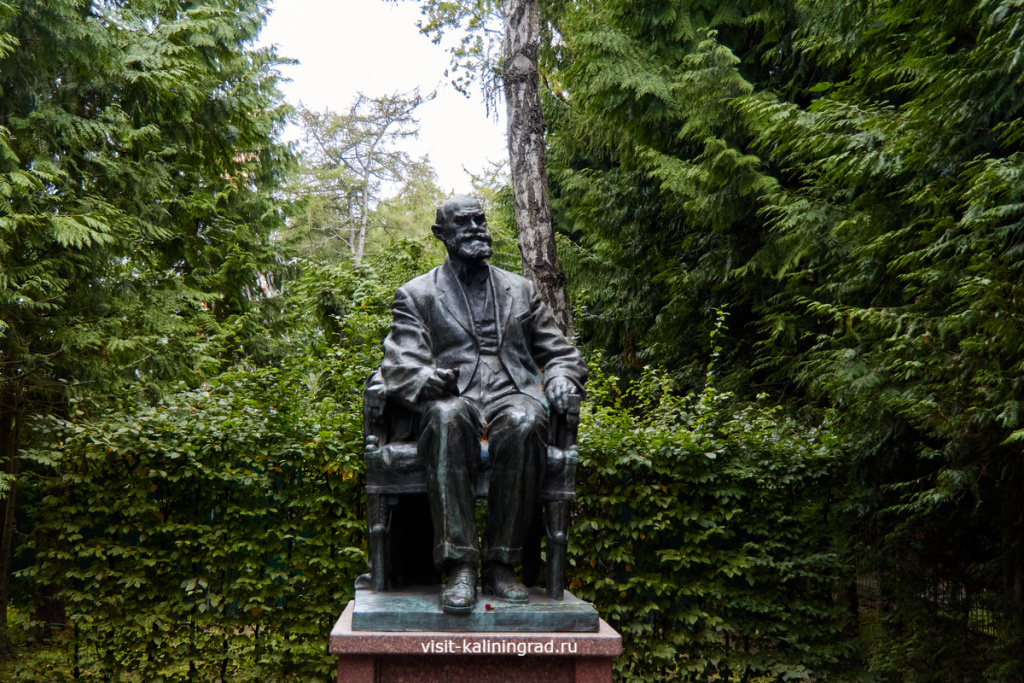 Памятник Павлову в Светлогорске.visit-kaliningrad.ru Памятник Павлову в Светлогорске.visit-kaliningrad.ru