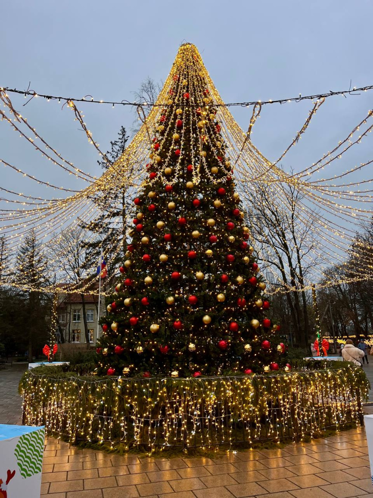 Зеленоградская елка 2026.jpg
