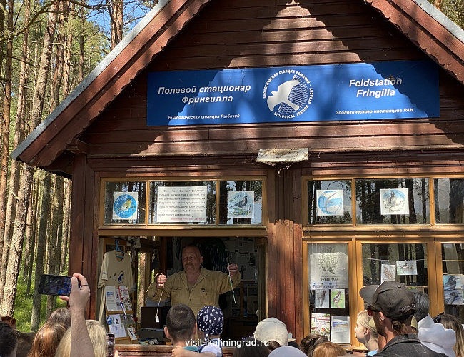 Орнитологическая станция «Фрингилла»