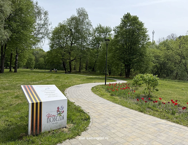 Парк Победы в Черняховске