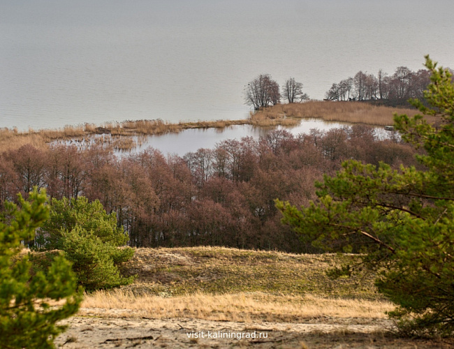Долгая дорога в дюны: Куршская коса 