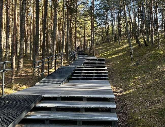 Куршская коса, замок «Нессельбек» и Зеленоградск - путешествие между эпохами